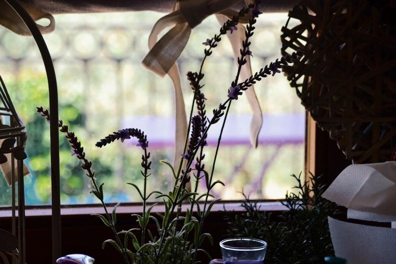 B&B Lavanda E Rosmarino Assisi Exterior photo