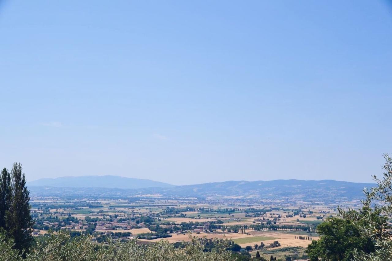 B&B Lavanda E Rosmarino Assisi Exterior photo